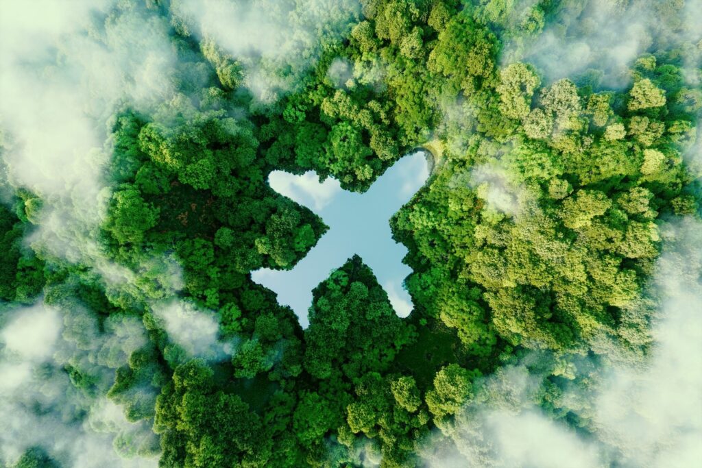 Sustainable Travel Practices