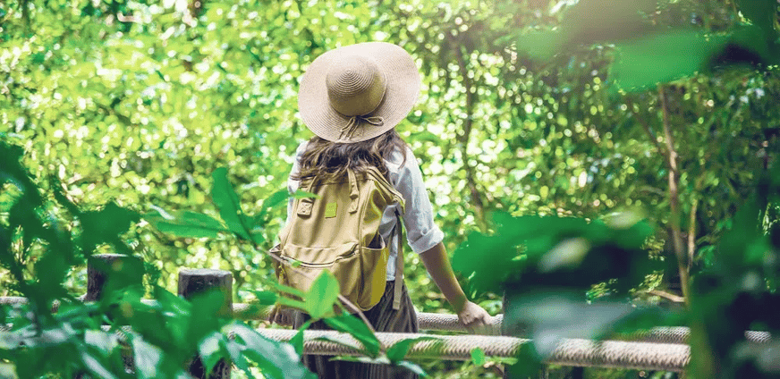 Sustainable Travel Practices